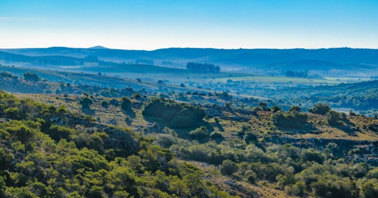Uruguay y la lección incómoda para salvar al planeta
