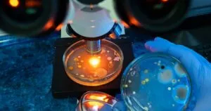 El secreto que permite a ciertos microbios vivir donde todo hierve