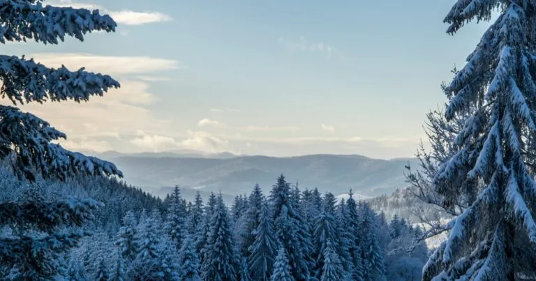 La Niña débil podría influir este invierno