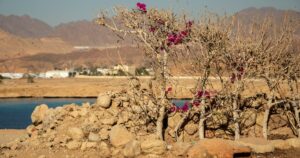 Sequías e inundaciones: una amenaza creciente en el Mediterráneo