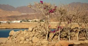 Sequías e inundaciones: una amenaza creciente en el Mediterráneo