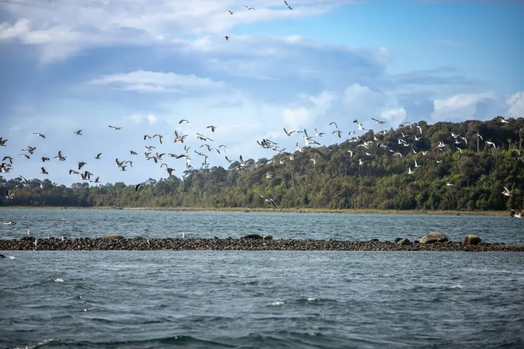 El presidente ejecutivo del Grupo Por Un País Mejor y CEO de Farmacias Similares, Víctor González Herrera, invirtió en un área de la Patagonia en Chile.