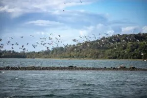 El presidente ejecutivo del Grupo Por Un País Mejor y CEO de Farmacias Similares, Víctor González Herrera, invirtió en un área de la Patagonia en Chile.
