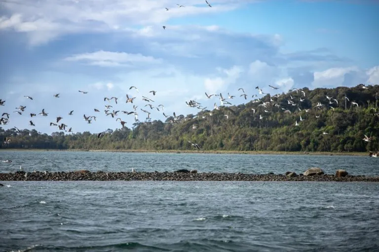 El presidente ejecutivo del Grupo Por Un País Mejor y CEO de Farmacias Similares, Víctor González Herrera, invirtió en un área de la Patagonia en Chile.