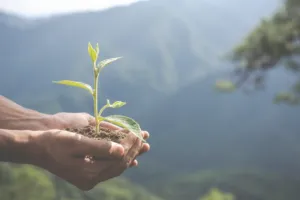 Iniciativas ambientales de AJEMEX enfocadas en reciclaje y preservación de ecosistemas.