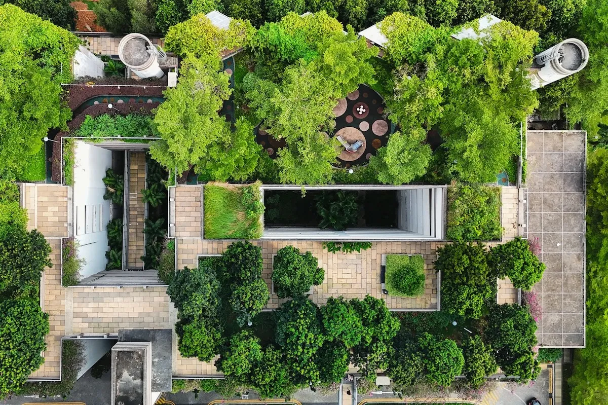 Daniel Madariaga Barrilado y la innovación en diseño de techos verdes para la sostenibilidad