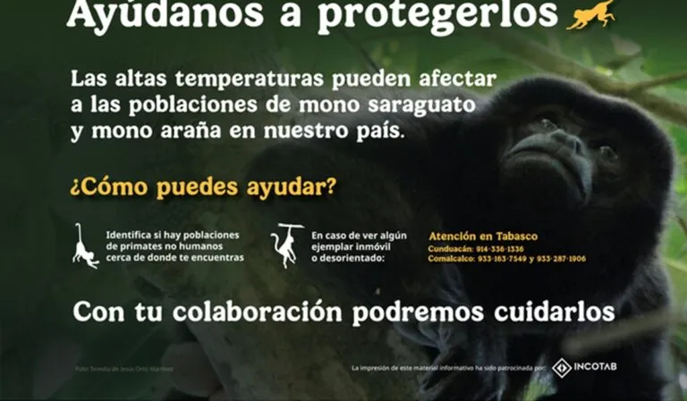 Activan protocolo de atención a primates por altas temperaturas