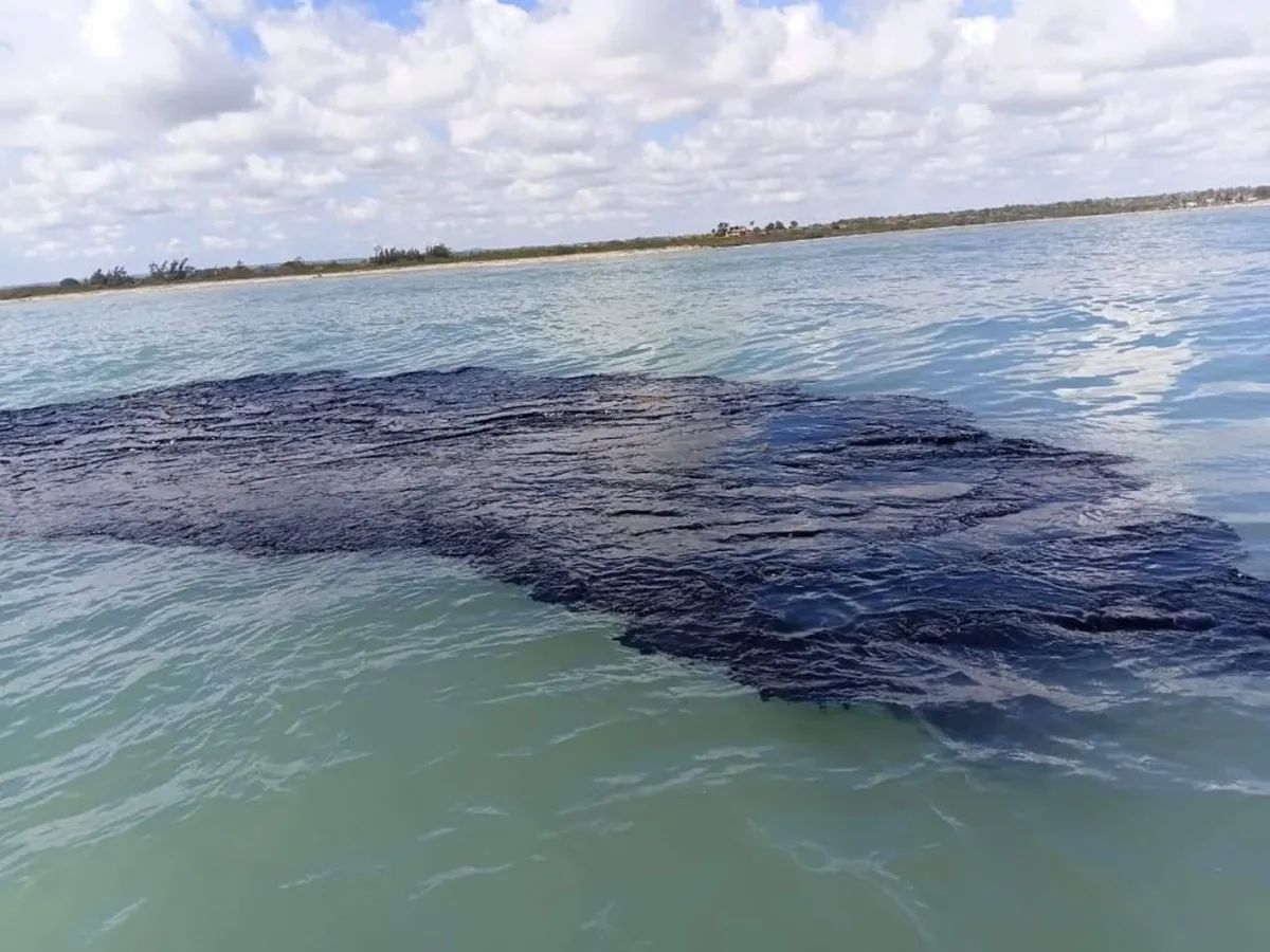 Greenpeace denuncia a Pemex tras el derrame en el Golfo de México