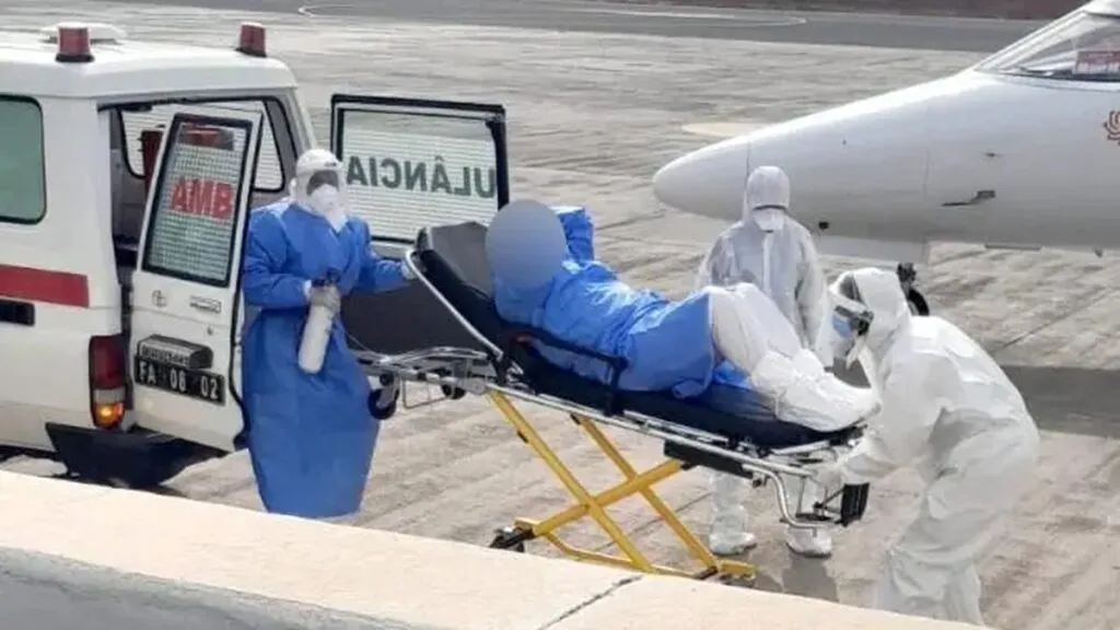 Identifican cepa andina de hantavirus en crucero que zarpó de Argentina