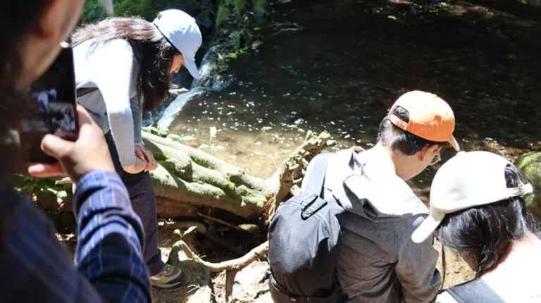 Impulsa UNAM iniciativa Walking Rivers para visibilizar crisis de ríos urbanos