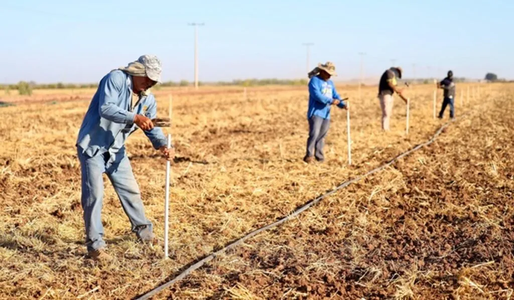México busca producir más alimentos con menos agua