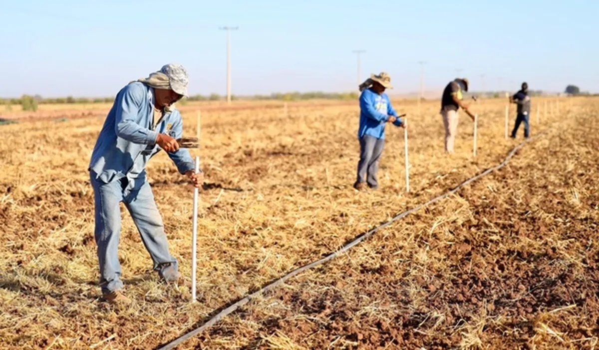 México busca producir más alimentos con menos agua