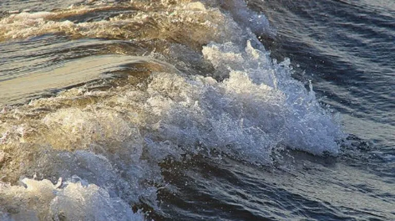 Playas de Mississippi en Estados Unidos están bajo alerta sanitaria