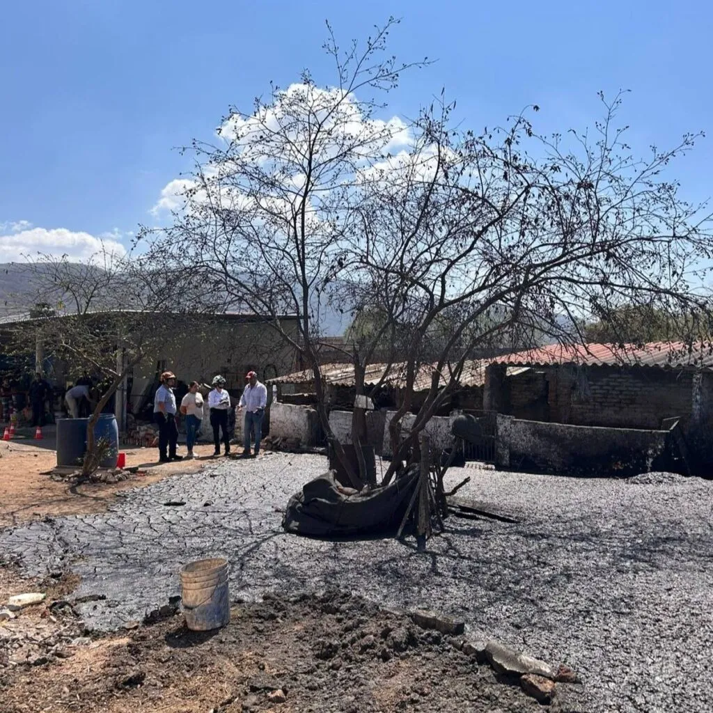 Calor interno de la Tierra provoca géiser en México