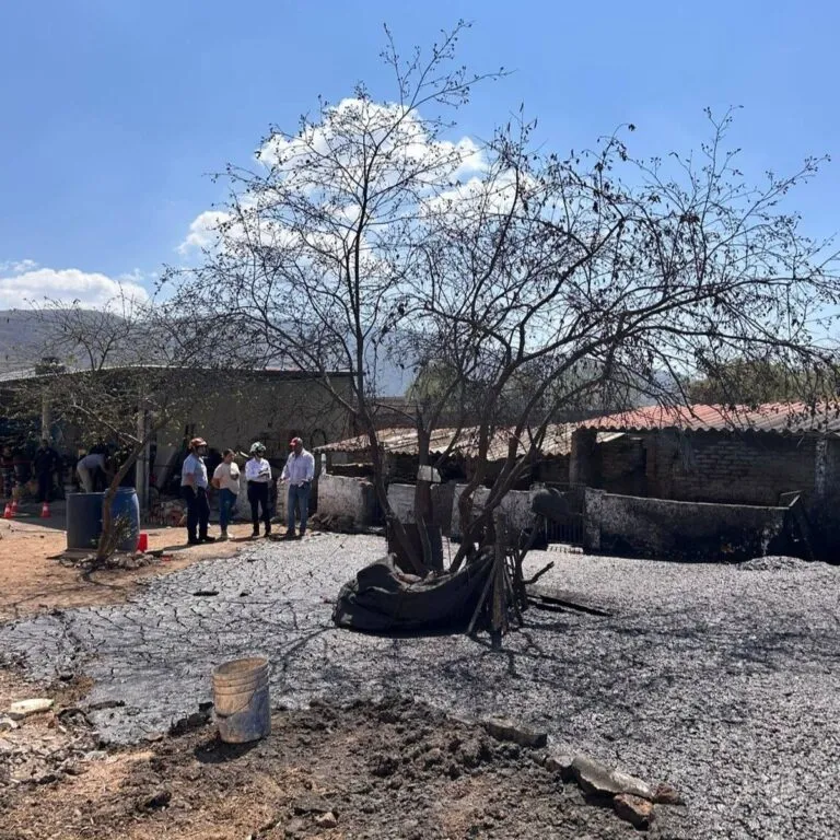 Calor interno de la Tierra provoca géiser en México