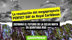 Semarnat sigue evaluación del proyecto "Perfect Day" en Quintana Roo