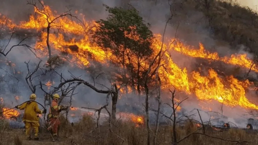 Amazonía enfrenta una creciente amenaza de incendios mientras aumenta la preocupación por el impacto de El Niño