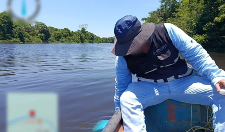 Atienden denuncia por mortandad de peces en río de Veracruz