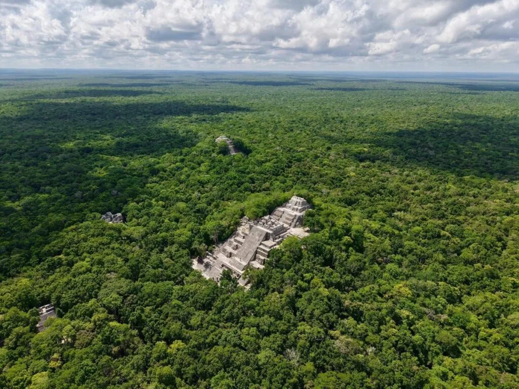 Cancelan megaproyectos solares-fotovoltaicos que pretendía realizarse en la Selva Maya