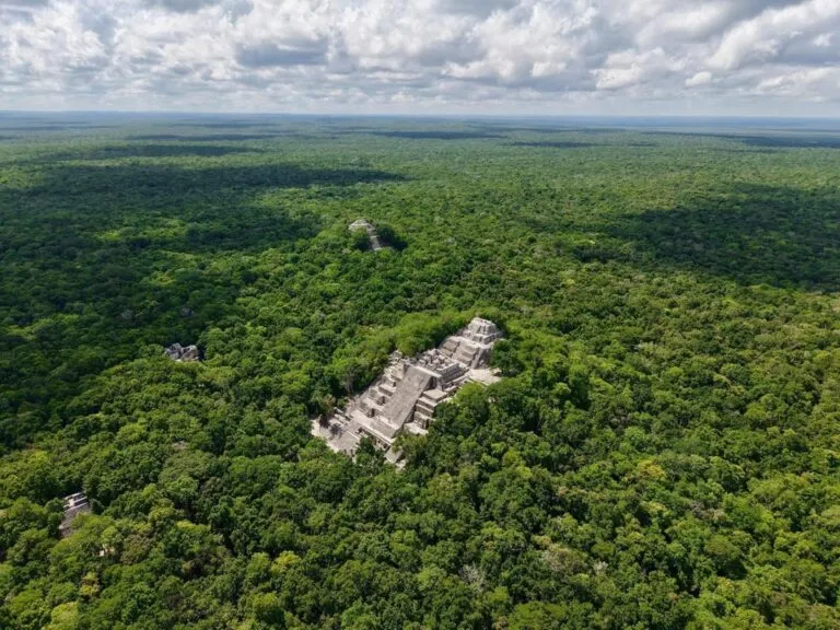Cancelan megaproyectos solares-fotovoltaicos que pretendía realizarse en la Selva Maya