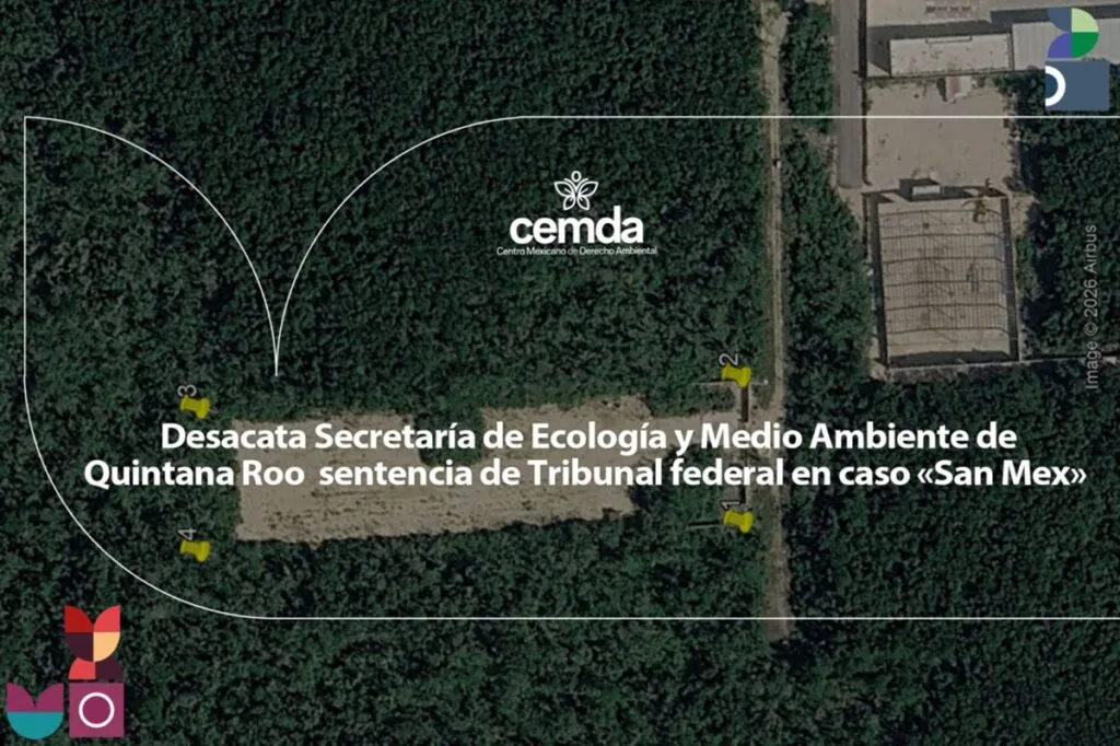 Desacata Ecología de Quintana Roo sentencia de Tribunal federal en caso «San Mex»