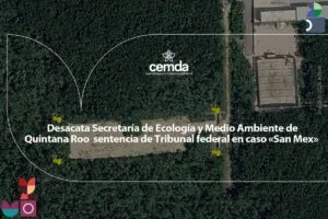 Desacata Ecología de Quintana Roo sentencia de Tribunal federal en caso «San Mex»