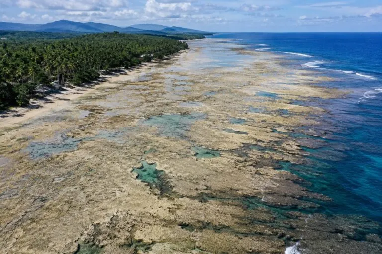 Filipinas: un terremoto emergió el océano y expuso miles de corales