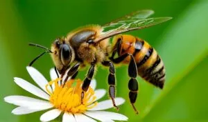 Abejas en riesgo: su papel esencial para la vida y la alimentación mundial