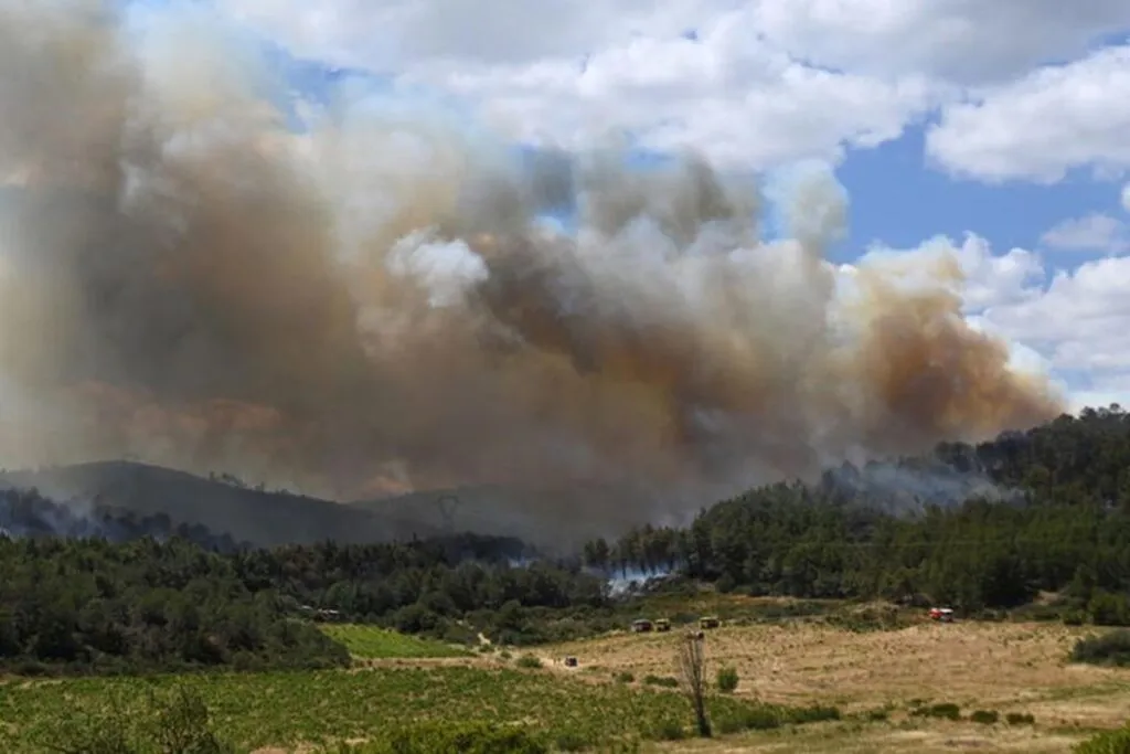 Bomberos combaten llamas en el sur de Francia tras ola de calor en Europa