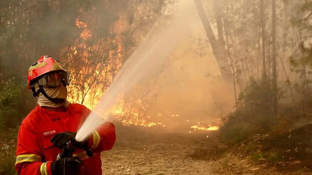 Calor en Portugal, los incendios ya han movilizado a más de 1.000 efectivos