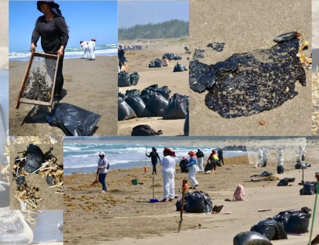 El Golfo de México está en grave peligro ¡Ayúdalo!: Greenpeace