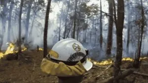 Incendio en Florida arrasa 1.924 hectáreas durante severa sequía