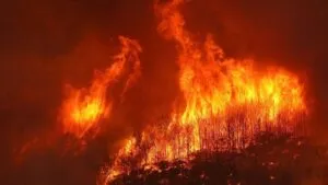 Incendios activos en España ponen al país en alerta máxima por la ola de calor
