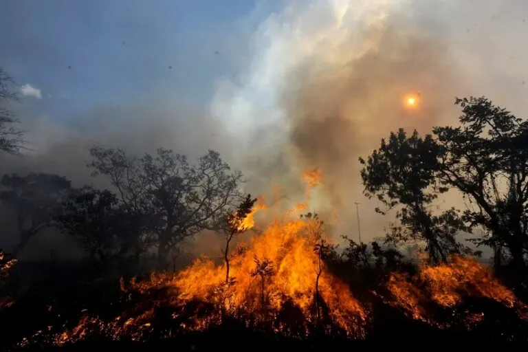 Incendios en periferias urbanas de Guanajuato elevan temperatura terrestre en 5,6°C