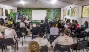 Descarta Senasica afectaciones por influenza aviar en Chiapas