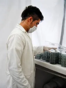 Investigador estudia el mundo de las bacterias acuáticas para anticipar riesgos ambientales y acuícolas