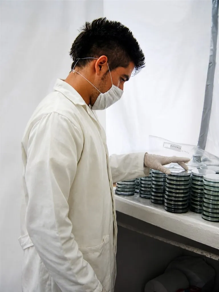 Investigador estudia el mundo de las bacterias acuáticas para anticipar riesgos ambientales y acuícolas