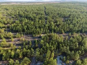 México presenta el Fondo de Capital Ambiental