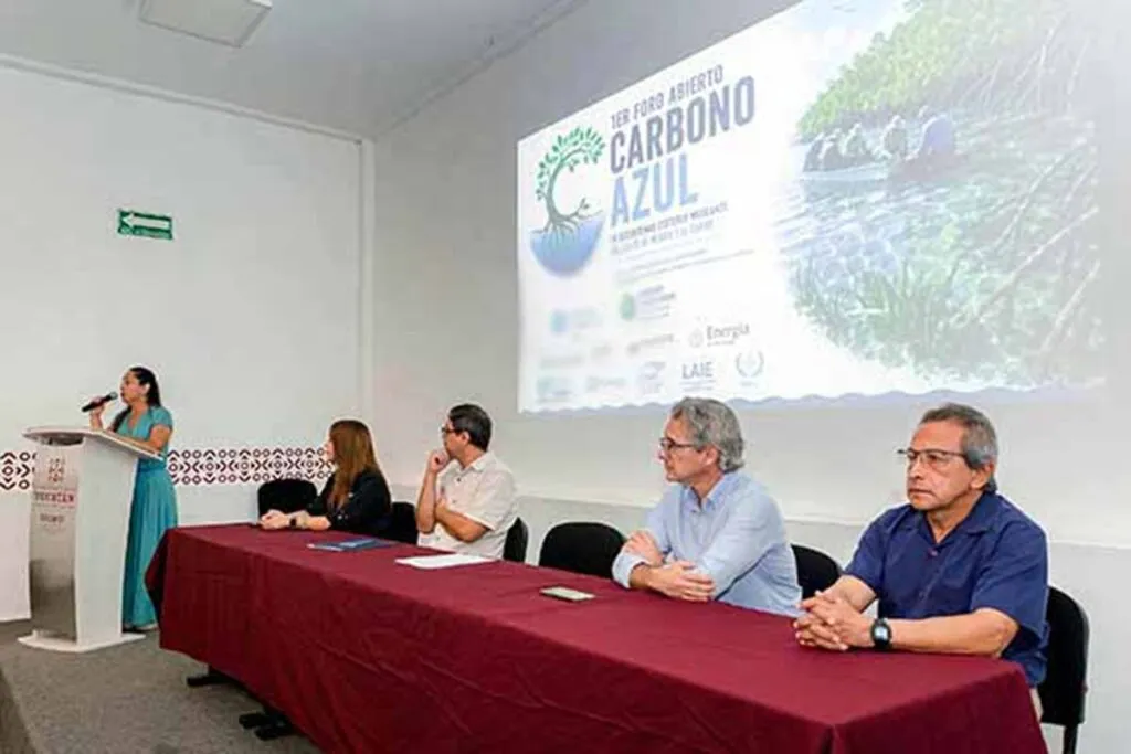 Priorizan agenda sobre carbono azul en ecosistemas costeros