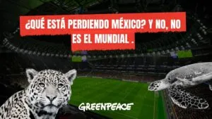 ¿Qué está perdiendo México? Y no, no es el Mundial