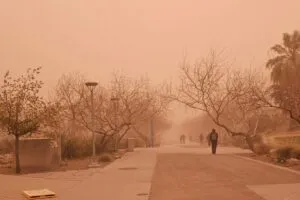 Tormentas de arena y polvo impactan en 150 países