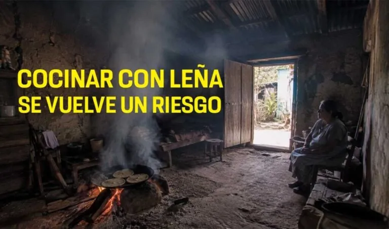 Leña en el hogar, una tradición peligrosa