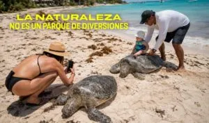 Turismo de naturaleza: cuando visitar un paraíso puede ponerlo en riesgo