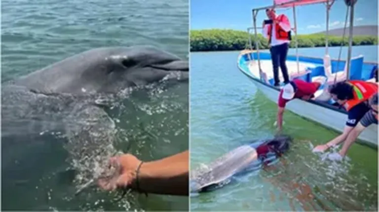 Pechocho y su hogar Topolobampo, está en riesgo por planta de amoniaco