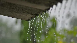 Recoger agua de lluvia de azoteas reduce ola de calor