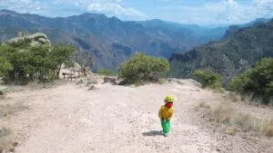 Alerta ante daño ambiental de la Sierra Tarahumara