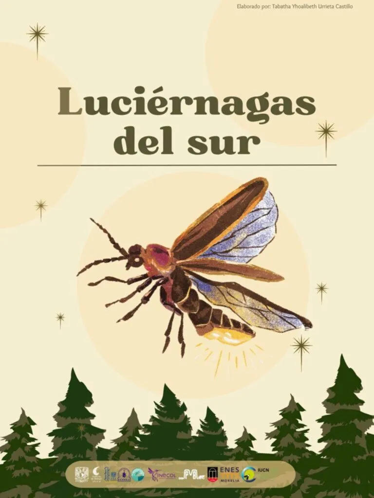 Descubren 39 nuevas especies de Luciérnagas en el sur del país