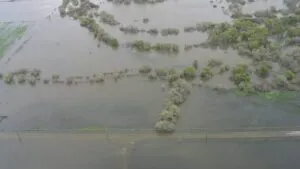 El Niño alcanzará su pico en diciembre: NOAA