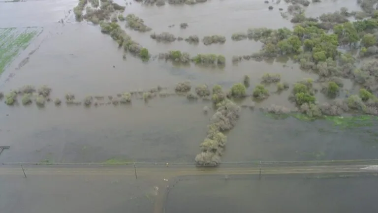 El Niño alcanzará su pico en diciembre: NOAA