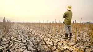 El Niño traerá a México sequía y olas de calor
